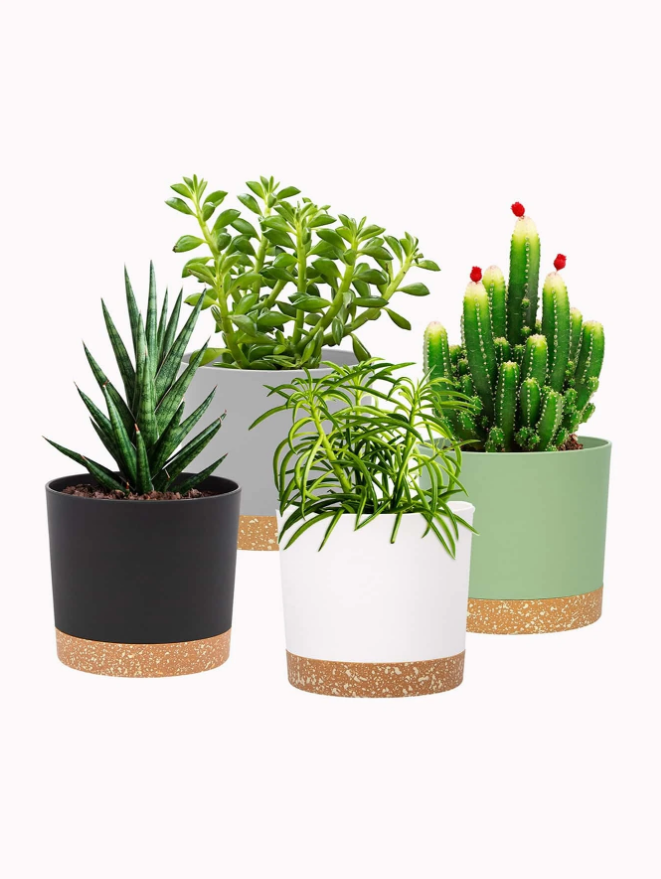 plant pots_May promo